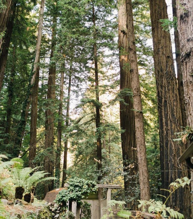 Sur Grove Big Sur Villa ภายนอก รูปภาพ